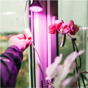 004013-led-planty-b-7w-e27-1200k.jpg PLANTY B grow izzó 7W fekete E27 beltéri növénylámpa