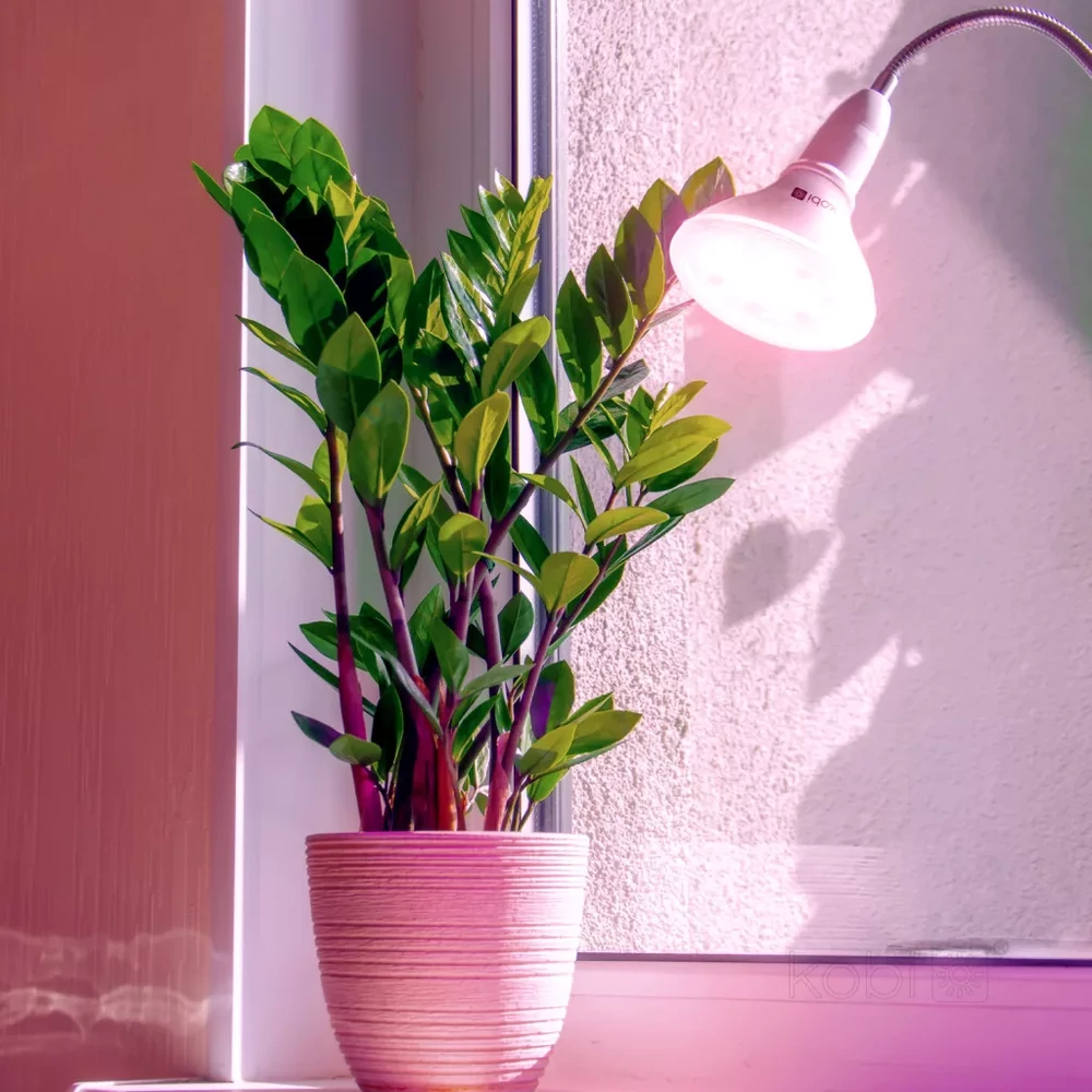 KOBI-004012-2.webp PLANTY B növénynevelő LED izzó grow spektrummal, E27 foglalat