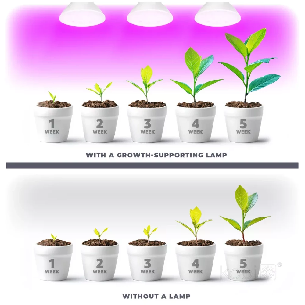 KOBI-004012-3.webp PLANTY B grow LED izzó beltéri növényekhez, 38 fokos sugárzás